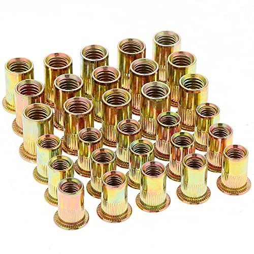 Gueenky 100 Stück Nietmuttern M6 M8 Verzinkt Kohlenstoffstahl, Einnietmuttern M8 M6 Kohlenstoffstahl Einziehmuttern Gewindenieten Nutsert Blindnietmuttern Nietmuttern für Metall Kunststoff