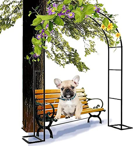 Arche Jardin Aluminium Largeur, Arche À Rosiers Métal, Filet À Plantes Grimpantes, Filet de Treillis, pour Récolte de Concombres, Légume, Vignes, Plantes Grimpantes,Noir,120x220x40CM