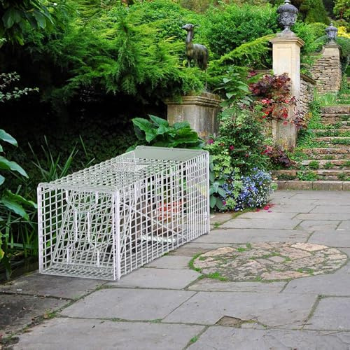 Heavy-Duty Humane Live Animal Trap with Galvanized Wire Mesh, Sensitive Pedal Trigger, Rear Release Door & Foldable Design for Outdoor Wildlife Management