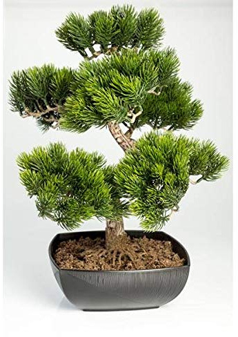 artplants.de Künstliche Bonsai Pinie in Schale, 210 Spitzen, 50cm, Outdoor - hochwertiger Kunstbonsai Kunststoff Bonsai