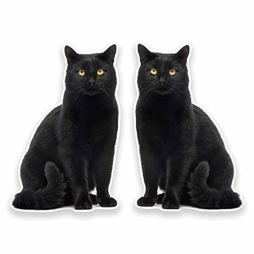 2 x 10cm Black Cat Vinyl Sticker Decal Laptop Tablet Fridge Animal Kitten #9641 (6.5cm Wide x 10cm Tall)