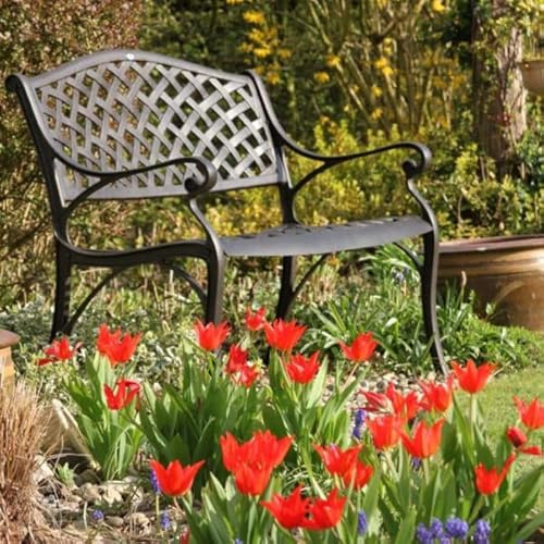 Lazy Susan Jasmine Metall Gartenbank 2-Sitzer | Wetterfeste Gartenbank | Gusseisen-Aluminium | Rostfrei | 3 Jahre Garantie (Antike Bronze, Blau Kissen)