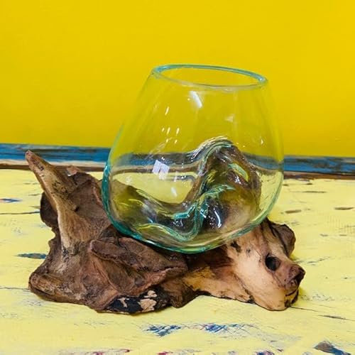 Verre ethnique en verre fondu sur la racine Vase Orchidée