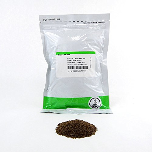 Upland Cress Microgreens Seeds: 1 Lb - Bulk, Non-GMO Cress Sprouting Seeds for Micro Greens, Baby Salad & Garden