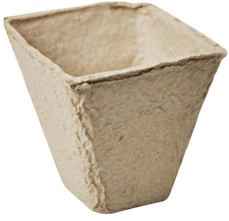 Kingfisher ppotss Pot de tourbe biodégradable carré 8 cm Beige (pièce