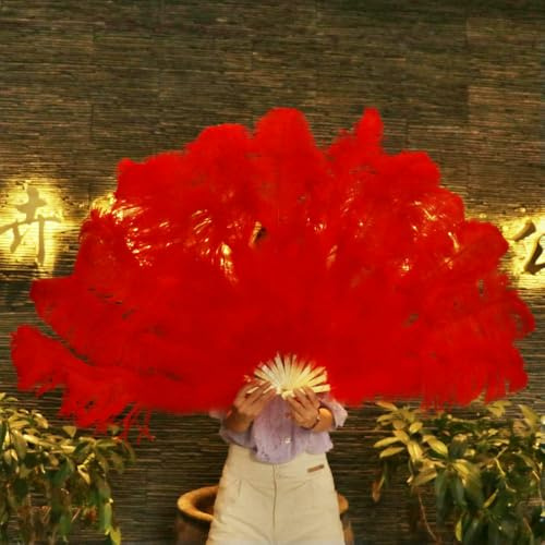 Grand éventail en plumes d'autruche, 13 branches, pliable, pour carnaval, scène, opéra, décoration, rouge, 2 pièces