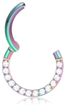 Lantine 16g/18g Septum Piercing Zirkonia Nasenpiercing Daith Rings 6/8/10mm | Lantine Silber Gold Rosegold Schwarze Septum Segmentring Clicker Nasenring Chirurgenstahl Helix Tragus Rook Ohr Piercing