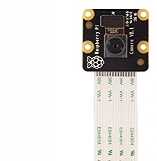 Raspberry Pi Kamera Modul V2 Ohne IR Filter: Tages- Und Nachtsichttaugliches Für Alle Pi Modelle, Raspberry, Noir