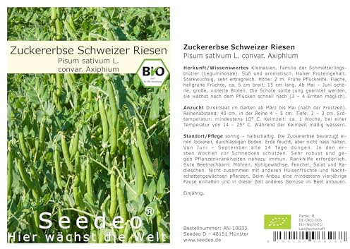 Seedeo® Zuckererbse Schweizer Riesen (Pisum sativum L. convar. Axiphium) ca. 50 Samen BIO