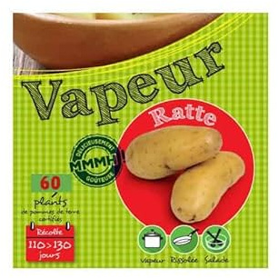 Debaere - Ratte 60 Plants de Pomme de Terre
