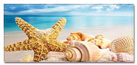 Morbuy Personalisierte Fußmatte Rutschfester Türvorleger mit 3D Strand Muschel Seestern Drucken, Schmutzfangmatte Waschbar Fussmatte Innen Badteppiche (40x120cm,Seestern und Muschel)