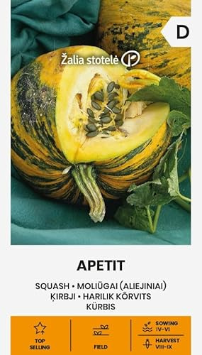 Zalia stotele | Kürbis - Apetit samen | Gemüsesamen | Pflanze samen | Kürbissamen | Die Sorte ist sehr produktiv | 1 Pack