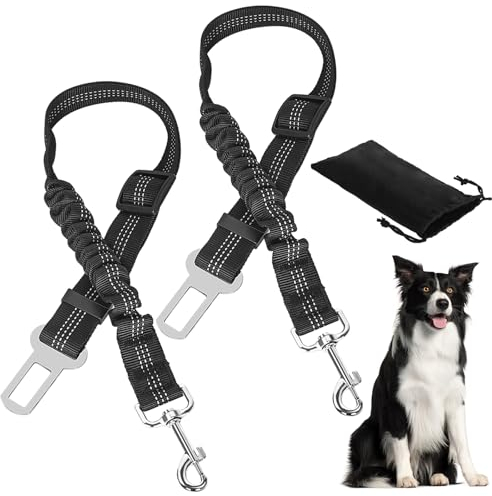 DATEFUN Hunde Anschnallgurt Auto Verstellbarer - 2 Stück Sicherheitsgurt Hunde mit Rückdämpfung und Aufbewahrungstasche für Alle Hunderassen & Autotypen (50-88cm)