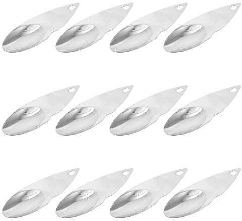 WATIIFUFU Cuchara para Kiwi de Acero Inoxidable 12 Piezas, Plata