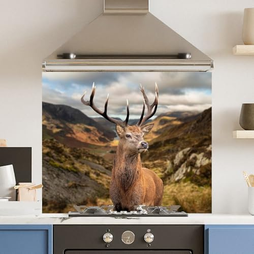 Toughened 6mm Glass Kitchen Splashback 90 x 65cm Stunning Stag - Polished Edge Heat Resistant Back Splash for Cookers Hob