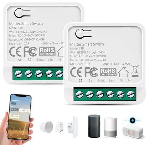 2 interruptores de luz mate, 42,5 x 42,5 x 20 mm, WiFi, empotrado, interruptor de luz Alexa Smart Life, interruptor de relé mate, 16 A, retardante de llama de PC, para automatización doméstica