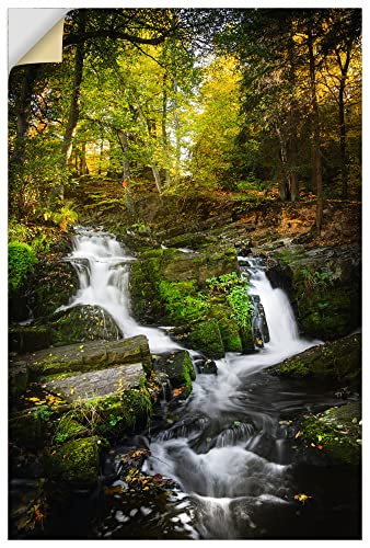 ARTland Wanddeko Wandtattoo selbstklebende Vinylfolie 60x90 cm Natur Wald Bäume Farn Moos Bach Wasserfall Harz U4PG