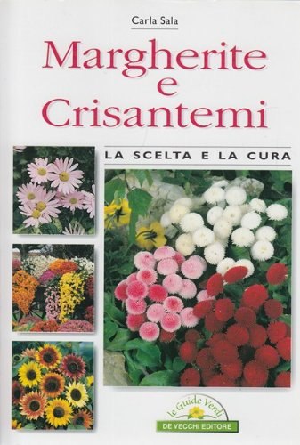 Margherite e crisantemi