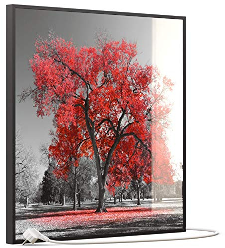 STEINFELD Heizsysteme® Glas Bild Infrarotheizung Elektroheizung mit Thermostat | Made in Germany | viele Motive 350-1200 Watt Rahmen schwarz (350 Watt, 010 roter Baum)
