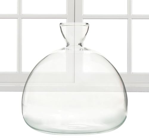 Aufzucht-Glas Für Avocados Kastanien Eicheln Avocadobaum-Zuchtset Hochwertiges Keimglas Besonderes Garten Geschenk Aufzuchtset Für Kerne Samen Keime Für Gartenliebhaber
