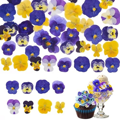 Auiremrti 80 piezas 8 tipos de flores secas naturalmente y prensadas para decoración de pasteles - Mezcla de pensamientos para cócteles, manualidades DIY