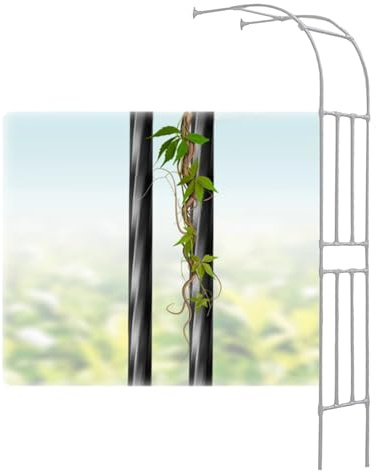 Arche de Jardin métallique Demi-Cercle, Support de Treillis métallique for Arche de Jardin, Blanc et Noir, Plusieurs Tailles, diamètre de Tuyau de 20 mm(White,W60 x H240 cm)