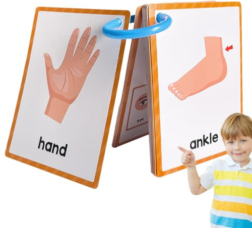 Partes De Cuerpo Tarjetas Flash Learning - Tarjeta De Estudio De Bolsillo, Ayuda Visual De Vocabulario, Herramienta De Enseñanza De Doble Cara, Recurso Educativo De Aprendizaje Temprano | Para Niños A