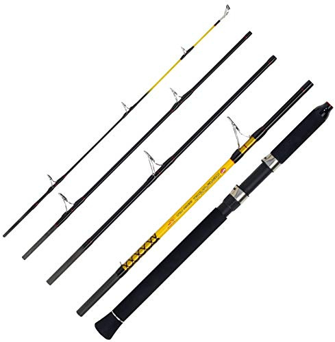 WFT Never Crack Senso Pilk 5tlg 20-120g 2,40m