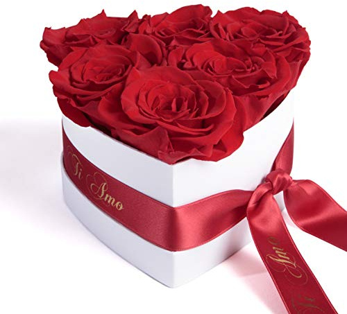 ROSEMARIE SCHULZ Heidelberg Infinity Rosenbox in Herzform konservierte Rosen Geschenk für Frauen (Ti Amo, Rot)
