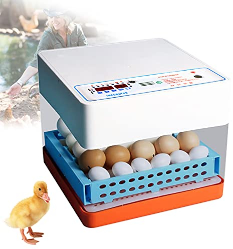WOQLIBE Inkubator Brutmaschine Vollautomatisch Brutmaschine Mini Eierbrüter Hühnerbrutkasten Brutapparat Flächenbrüter 24 Eier für Bruteier Enteneier Gänseeier