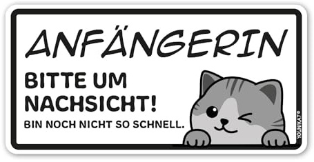 younikat Aufkleber Anfängerin Katze grau 20x10 cm - kfz774 | Fahranfängerin Führerschein, witterungsbeständig, vergilbungsfrei, UV-beständig