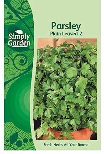Simply Garden Parsley Plain Leaved Fresh Herb Seeds Grow Your Own Garden