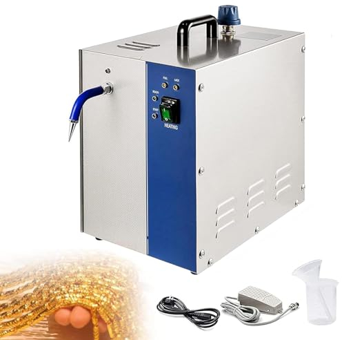 Aredwhiterui 4L Nettoyeur De Bijoux à Vapeur pour l'or Et l'argent, Nettoyeur De Bijoux en Acier Inoxydable, Nettoyeur De Bijoux en Profondeur avec Pédale pour Un Contrôle Plus Pratique, 2200W