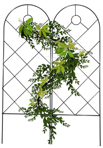 Enrejado de jardín – Enrejado para plantas de interior | Soporte de vid en maceta de metal | Estacas de alambre para plantas trepadoras, celosía decorativa de flores y verduras para el jardín del