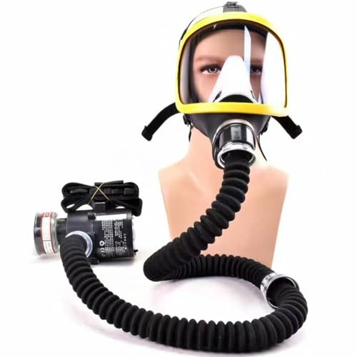 Masque à Air Alimenté Électrique à Plein Visage constant avec masque tuyau d'air ondulé filtration haute efficacité Idéal pour Poussière peinture soudage et la manipulation produits chimiques