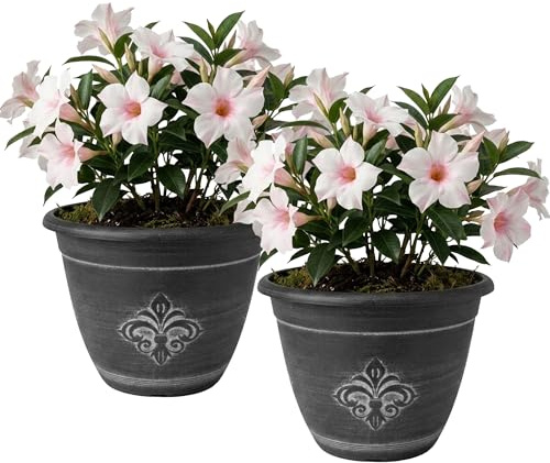 SG Traders Plant Pots Outdoor - Large Garden Planters for Outdoor Use, Durable Fleur De Lys Flower Pots with Drainage Holes, Modern Patio Planters for Garden, Balcony, and Home Décor (Pack of 2)