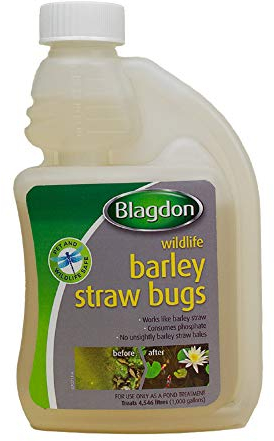Blagdon Natural Barley Straw Bugs, 250 ml, Pond Water Treatment, Clears Green Water, Suspended Algae and Blanketweed, Consumes Phosphate, Eats Organic Matter, Pet and Wildlife Safe