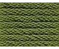 Anchor Sticktwist 2 Strängchen Farbe 267 - wacholder hell