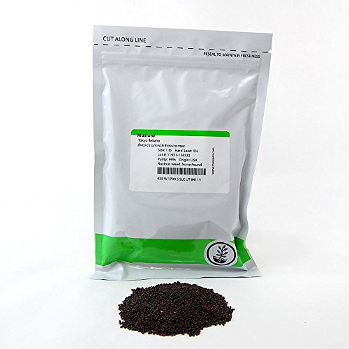 Mountain Valley Seed Co Tokyo Bekana Mustard Seeds 1 Lb Non-GMO Seeds for