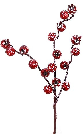 10 Steli di Bacche Rosse Innevate Artificiali da 24,5 Cm/9,6 Pollici, Agrifoglio Rosso, Bacche di Natale, Bacche Rosse, Rami Spray per Albero di Natale, Decorazioni per Vacanze Invernali(Rosso)