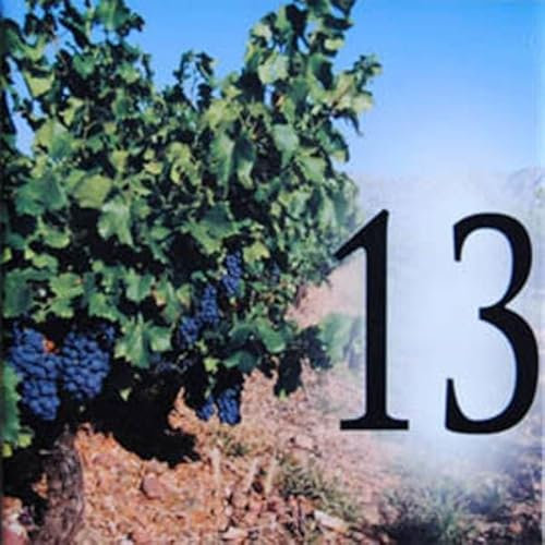 Targa con numero civico o numero 13. Piastrella in maiolica da 10,8 x 10,8 x 0,4 cm