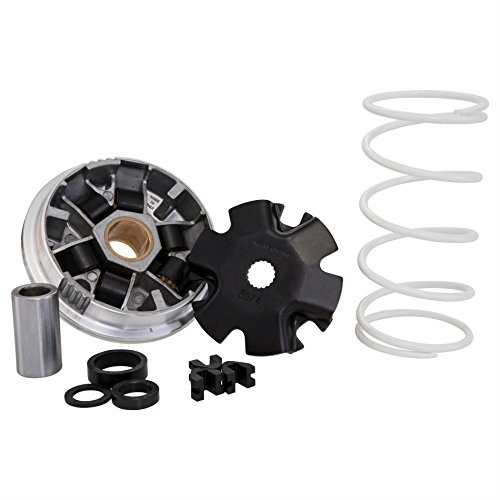 Variateur MALOSSI Multivar pour MINARELLI couché/debout 50 ccm 2T AC/LC 16 x 13 mm, 6 rouleaux, 7,0 g,