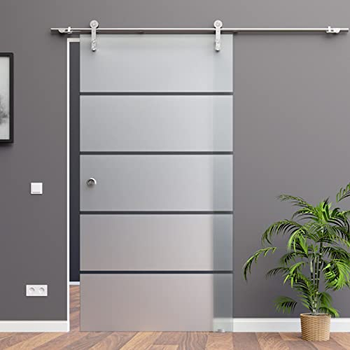 BP1-900RA: Schiebetürsystem ESG 900x2050x8mm Dekor P1, Siebdruck, rechts; Edelstahl Laufrollensystem SoftStop; Griffmuschel