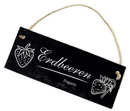 Dekolando Schild - Erdbeeren - Garten Beet Dekoschild Schiefertafel graviert 22x8cm