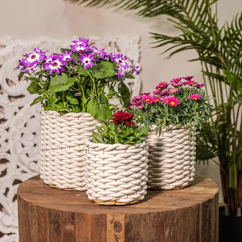 DARO DEKO Baumwoll Korb rund mit Einsatz Gerade 3er Set Regalkorb Blumentopf geflochten Aufbewahrungskorb Über-Topf Blumenkorb