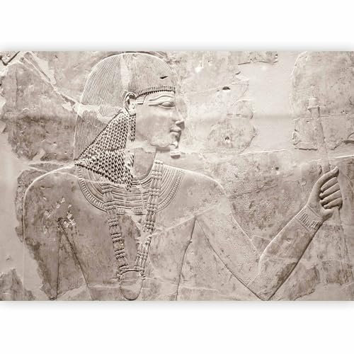 Fotomurales B&D XXL - 300x210 cm XXL Papel pintado tejido no tejido Decoración de Pared decorativos Murales moderna Diseno Fotográfico piedra f-B-0021-a-d