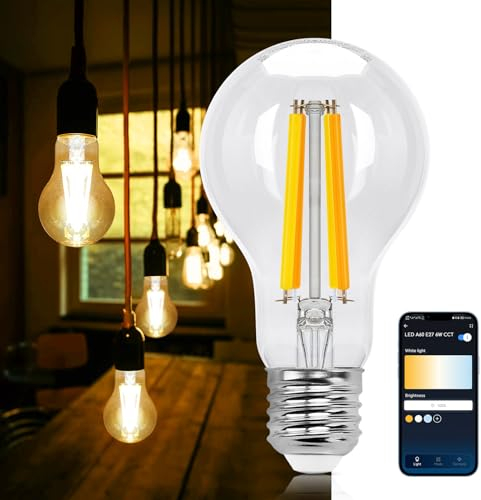 Aigostar Lampadine Smart WiFi E27 Alexa Lampadine Vintage A60 6W Edison Lampadina WiFi Dimmerabile 2700K-6500K, Controllo Remoto tramite APP, Compatibile Con Alexa, Google Home, Trasparente 1 Unità