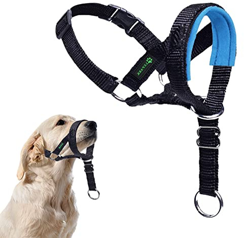 ILEPARK Hundehalfter mit Sicherheitsgurt, Kopfgeschirr für Hunde, um das Ziehen zu stoppen, verstellbar und leicht zu kontrollieren (M, Blau)