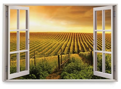 Paul Sinus Wandbild 120x80cm Fensterbild Italien Toskana Weinanbau Landschaft Horizont