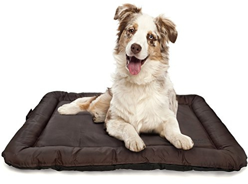 LAZY BAG Hundebett Indoor und Outdoor Hunde-Kissen Hunde-Körbchen; Schlafplatz für Hund & Katzen; Größe XXL (115 x 80 cm)